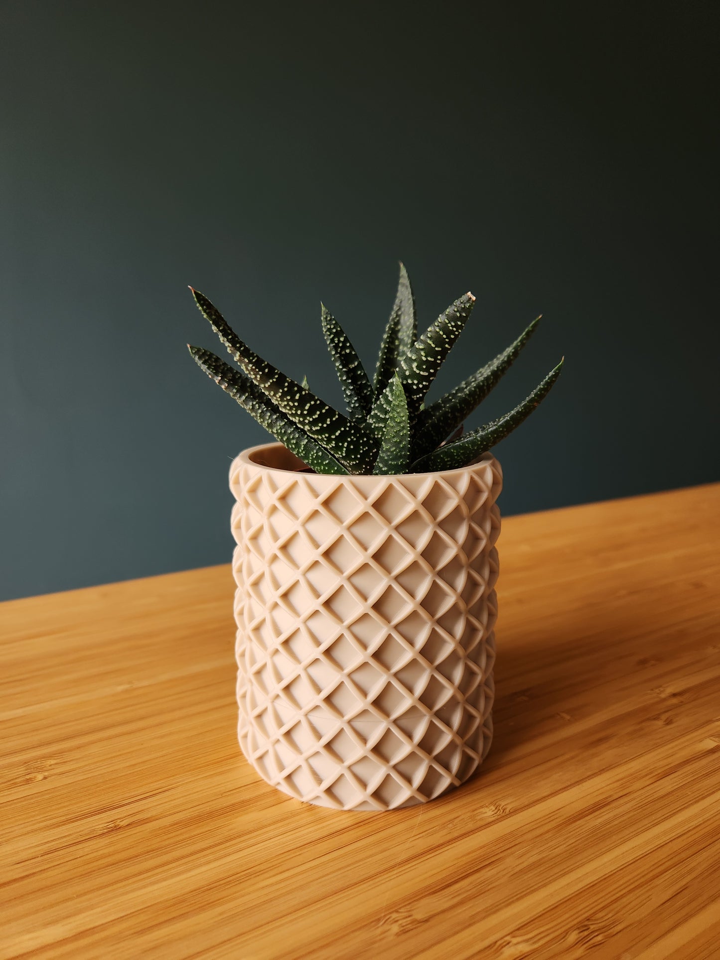 The Checkers - Førmed 3D