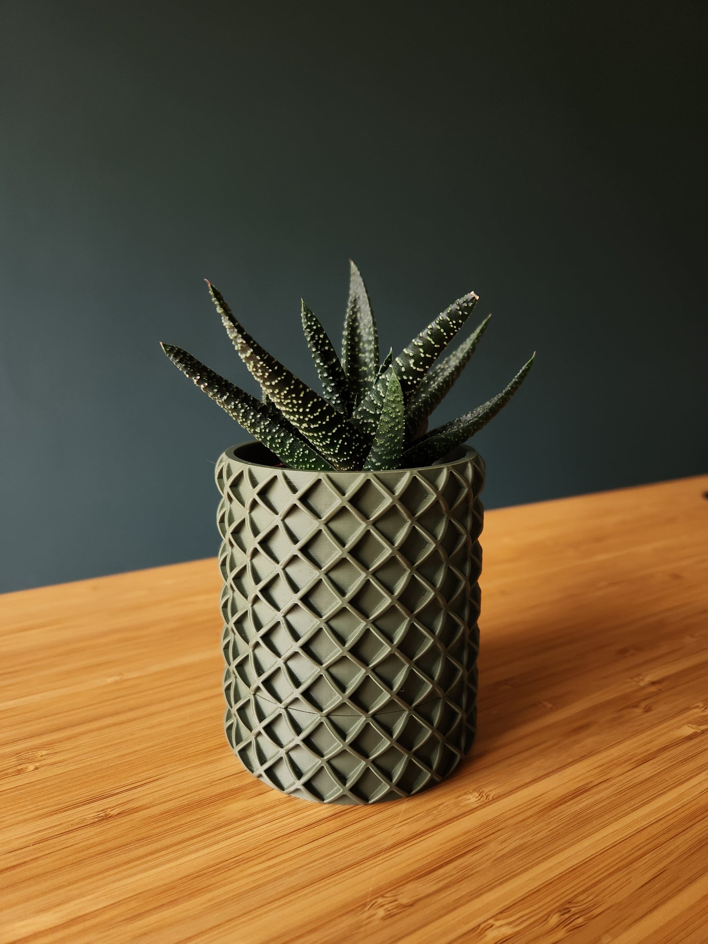 The Checkers - Førmed 3D