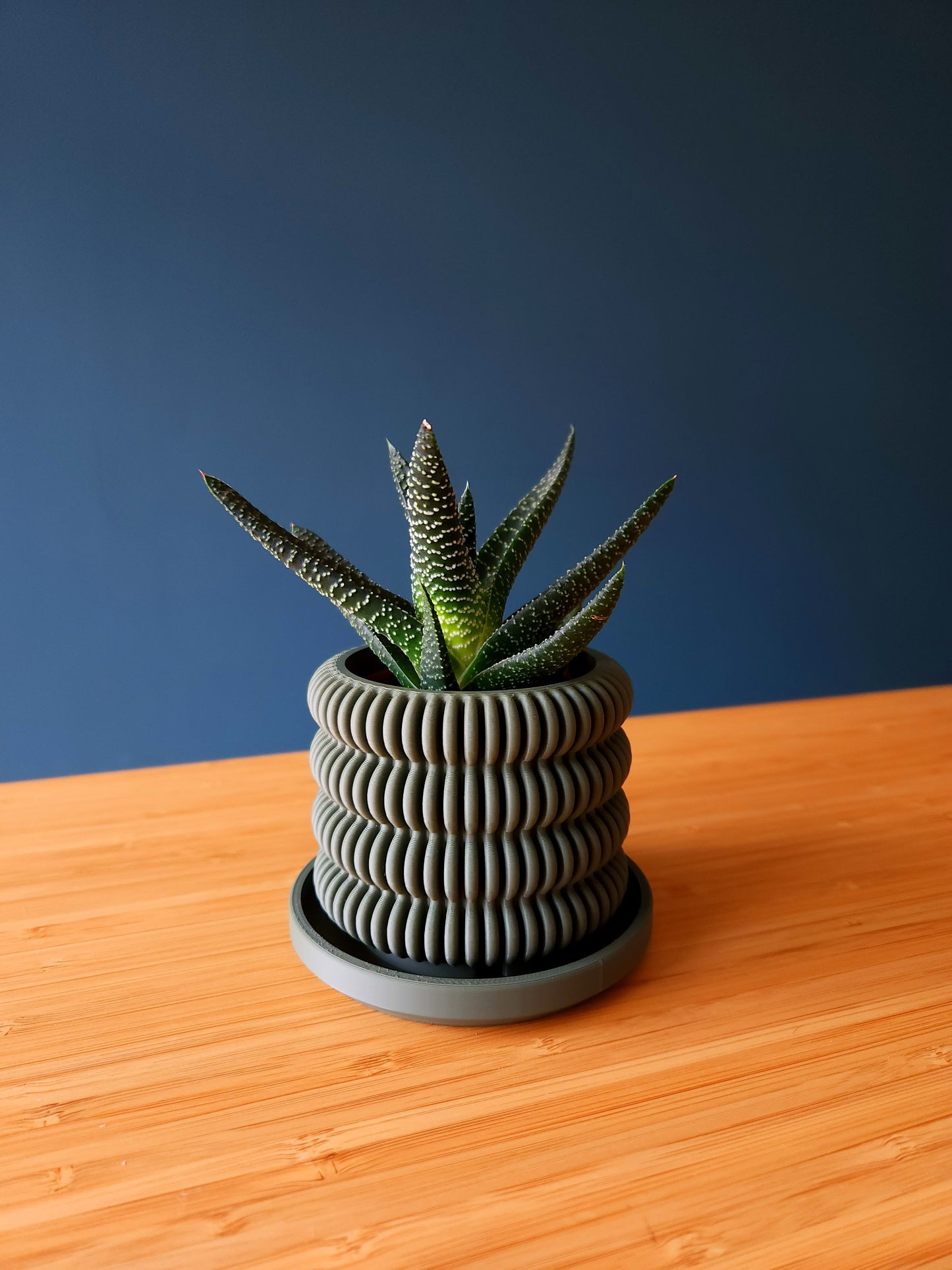 The Cactus - Førmed 3D