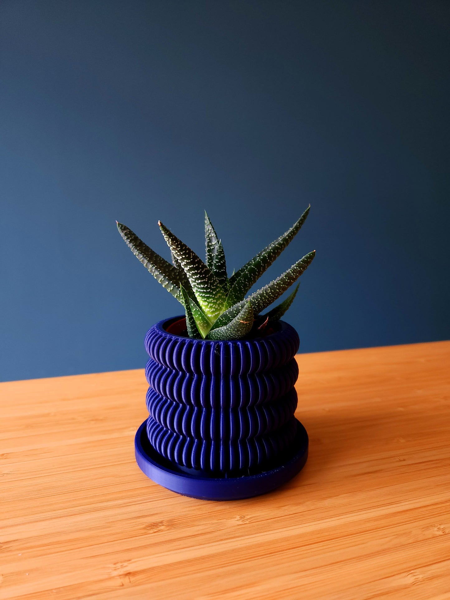 The Cactus - Førmed 3D