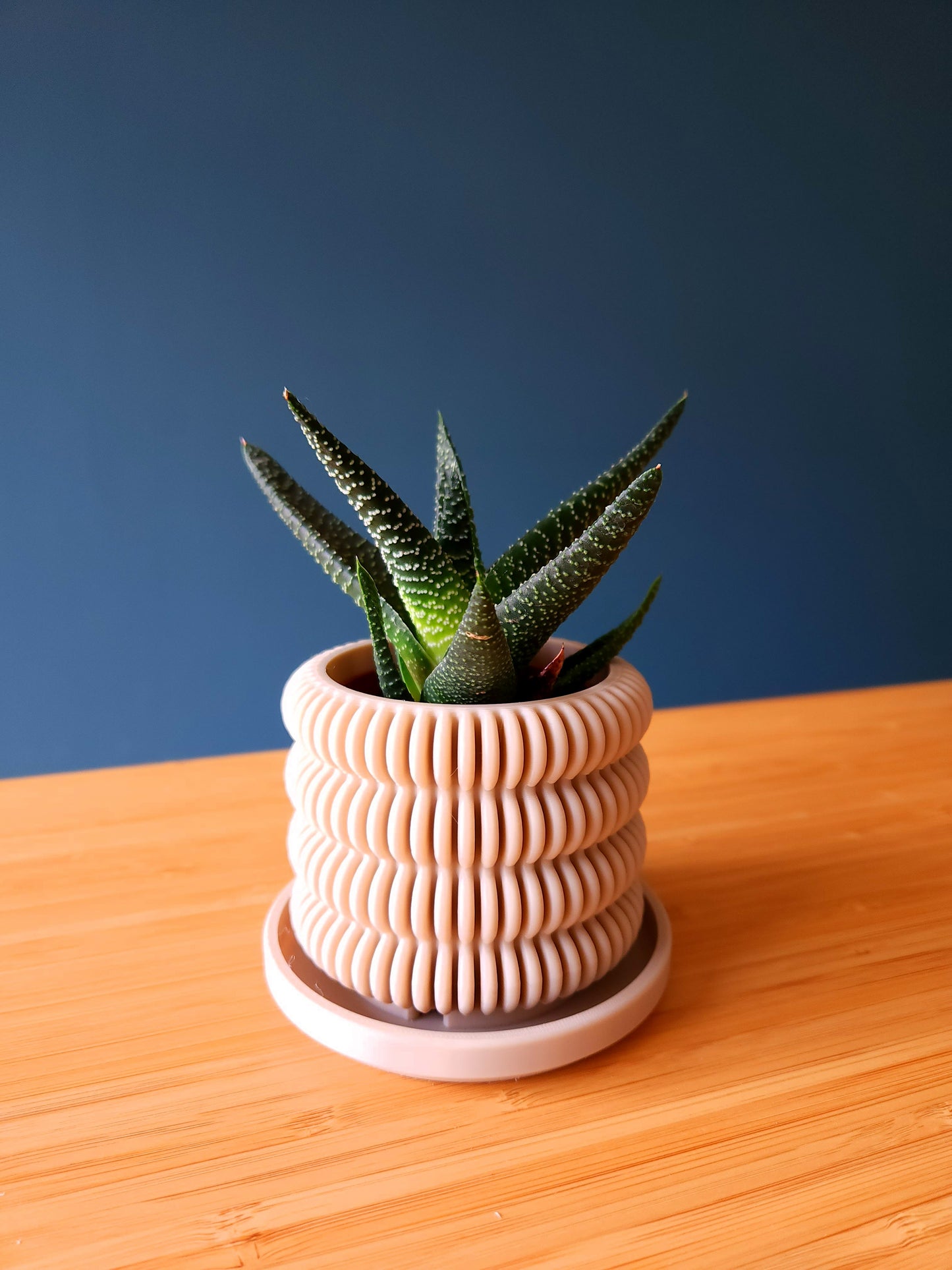 The Cactus - Førmed 3D