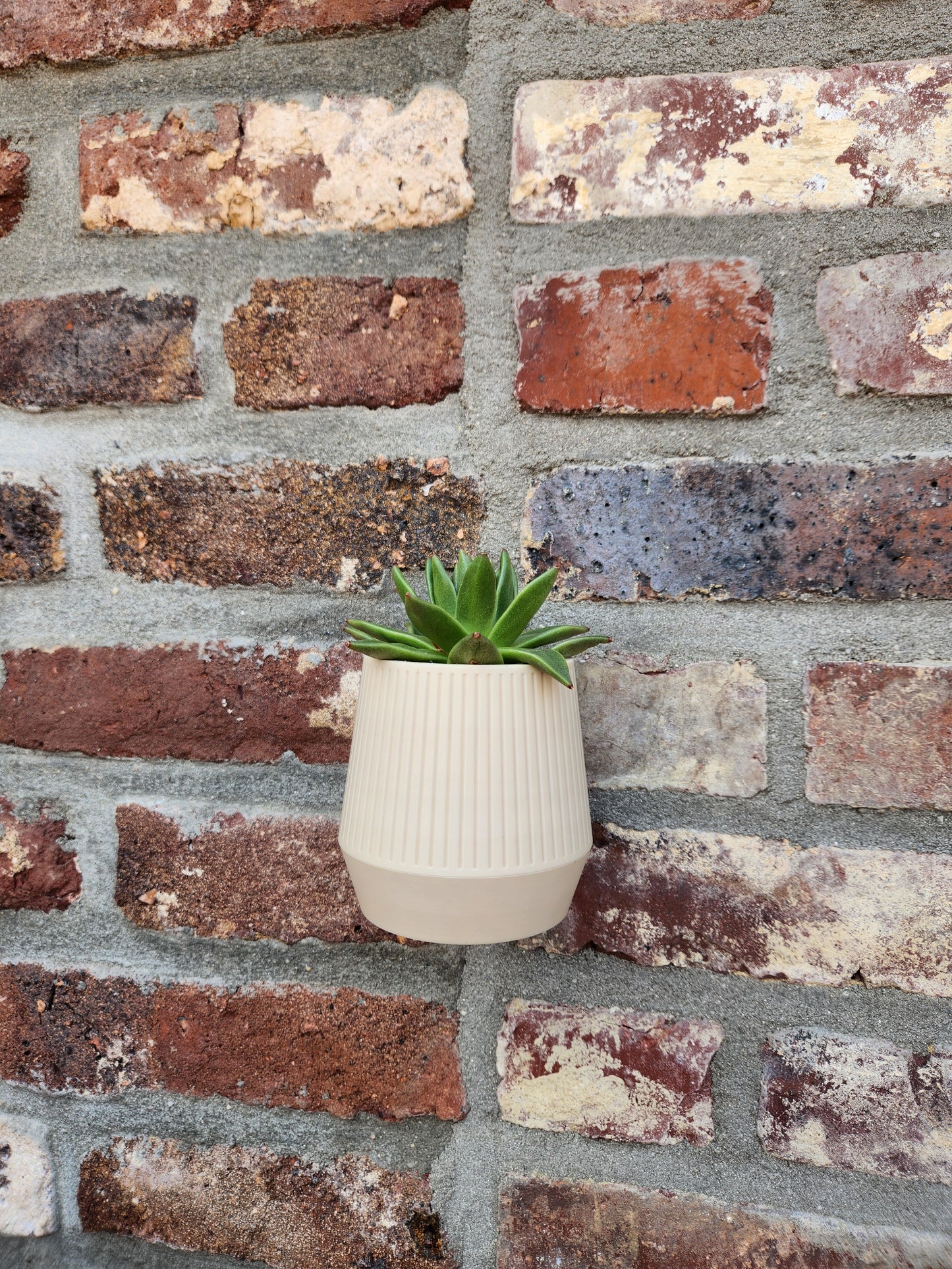 The Wheel - Wall Mounted