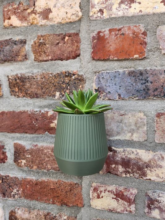 The Wheel - Wall Mounted